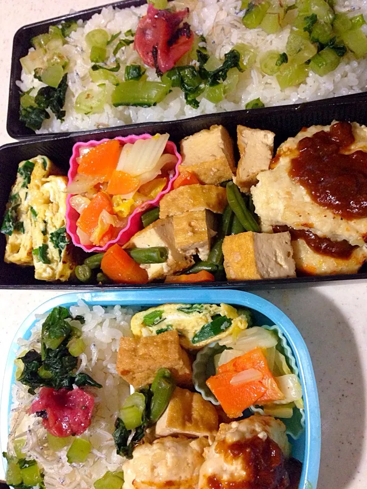 Snapdishの料理写真:鶏バーグ弁当、女子Aとパパ分|ゆかりすさん