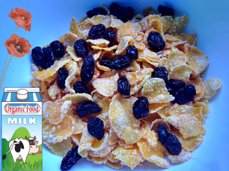 Frosted toasted flakes of corn with raisin|Er Li Liyaさん