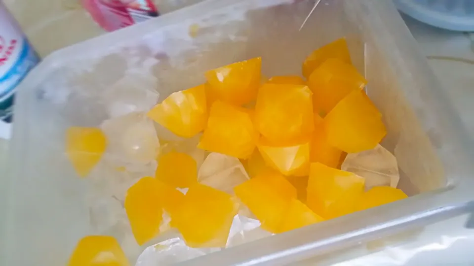 orange flavoured ice cubes|Atikah Elliazizさん