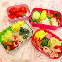 幼稚園の遠足お弁当|miffyさん