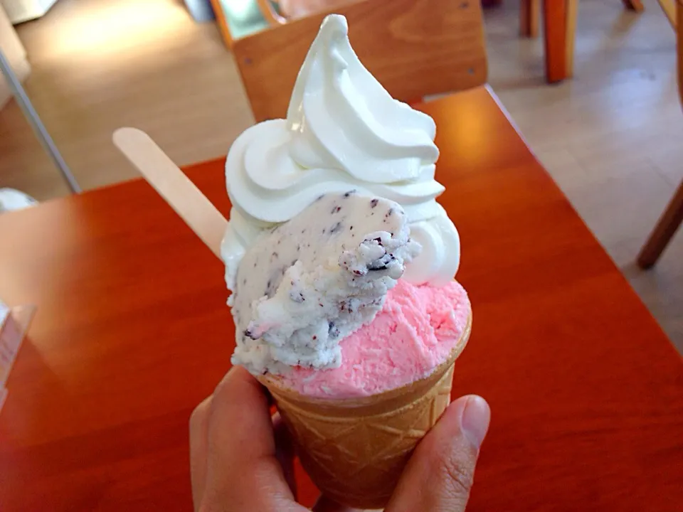 ソフトクリーム、チョコチップ、いちごのトリプル|kutsuna ippeiさん