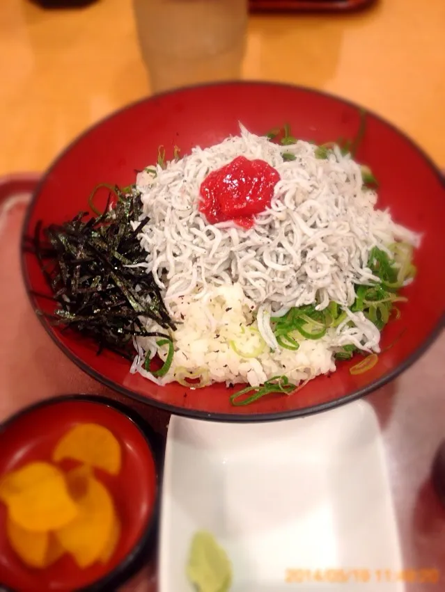 Snapdishの料理写真:梅しらす丼|るみおんさん