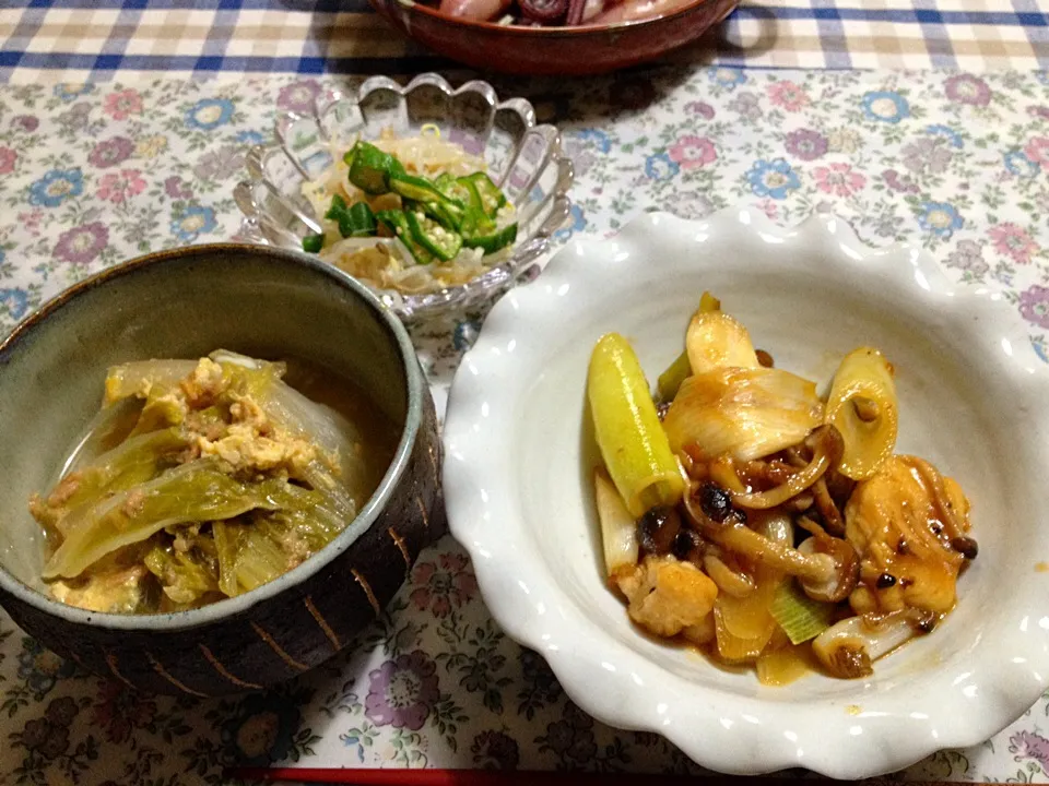 チキンとシメジと長ネギの炒めたん、白菜とツナ煮、モヤシとオクラのナムル|ユムユムさん