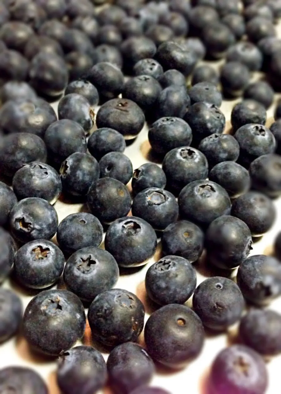 Blueberries, waiting to be frozen|coxiella24さん