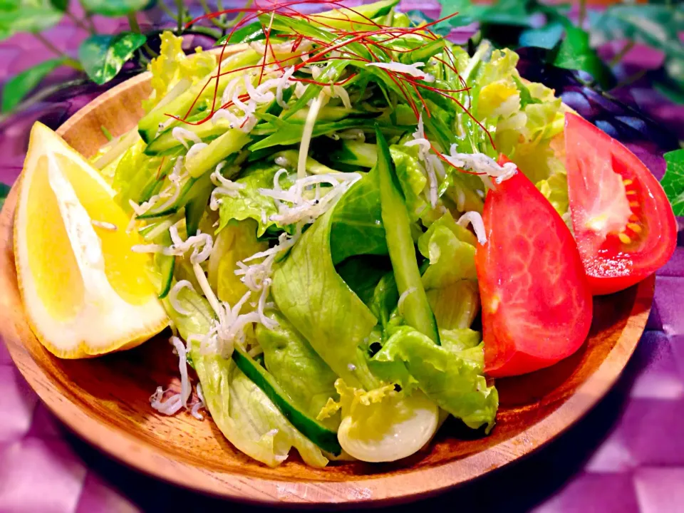 donburiさんの料理 ごま油香る♪ レタスとじゃこのめんつゆサラダ|ゆうちゅんさん