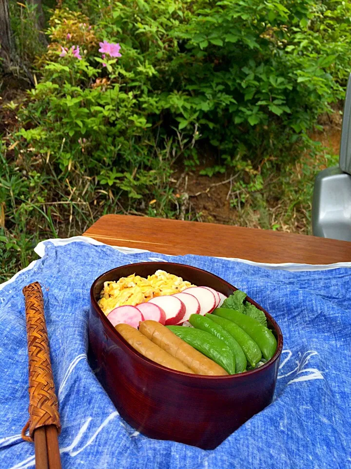 ピクニック・ランチ♬ (▰˘◡˘▰)☝︎|Yoshinobu Nakagawaさん