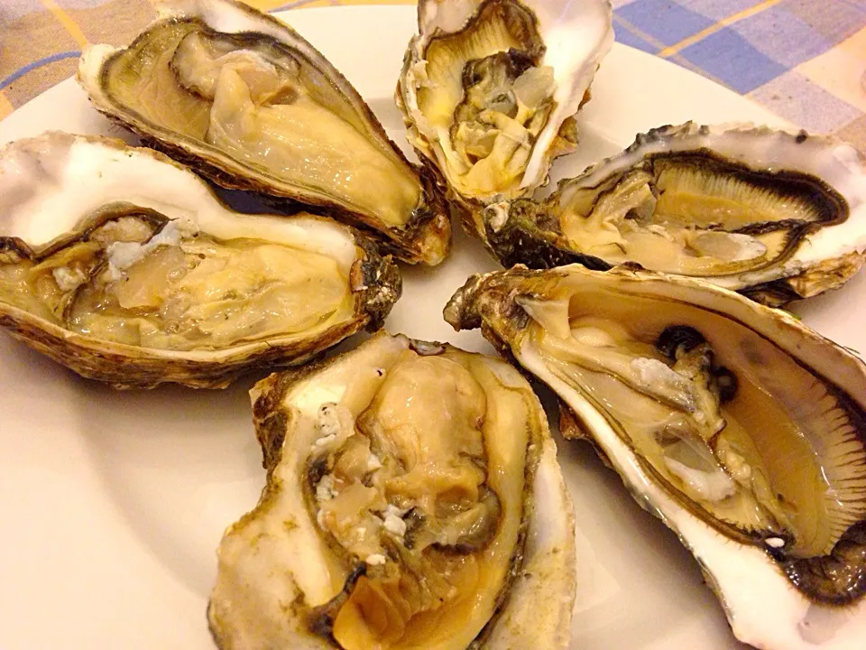 Oyster from Netherlands and France|Fujiko Toyohashiさん