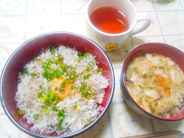 しらす丼|うたかた。さん