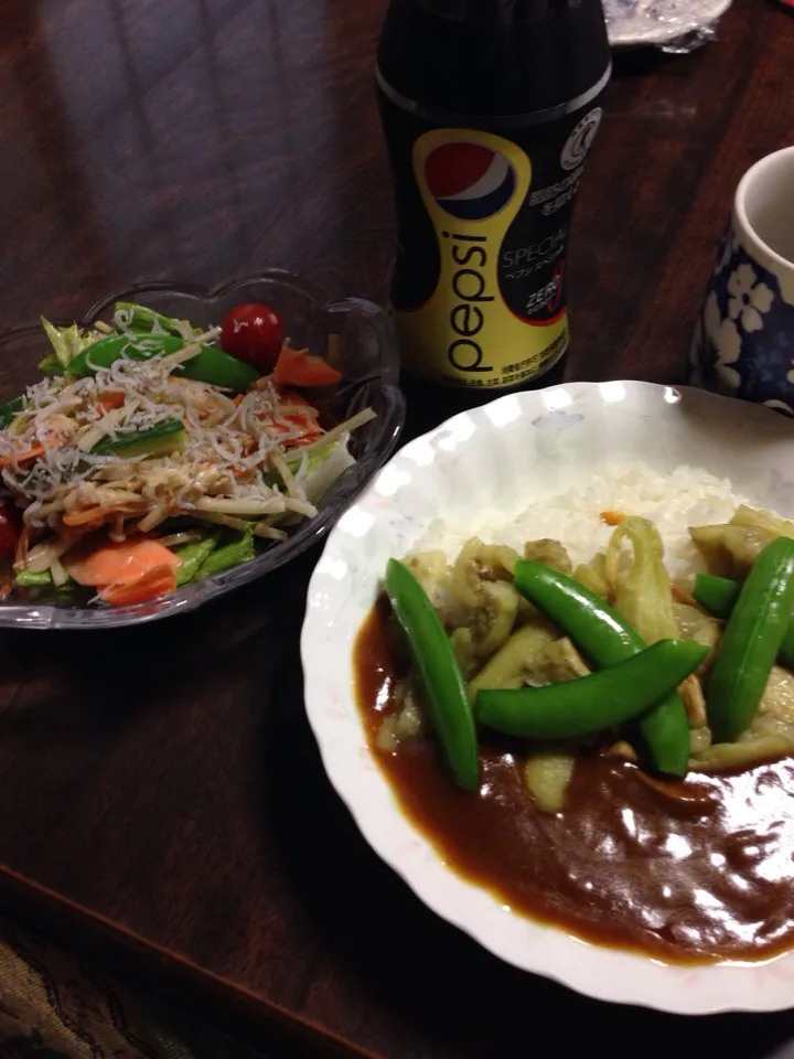 今夜の夕食はどっかのサラダ風とカレーです。|Eiji Sasakiさん