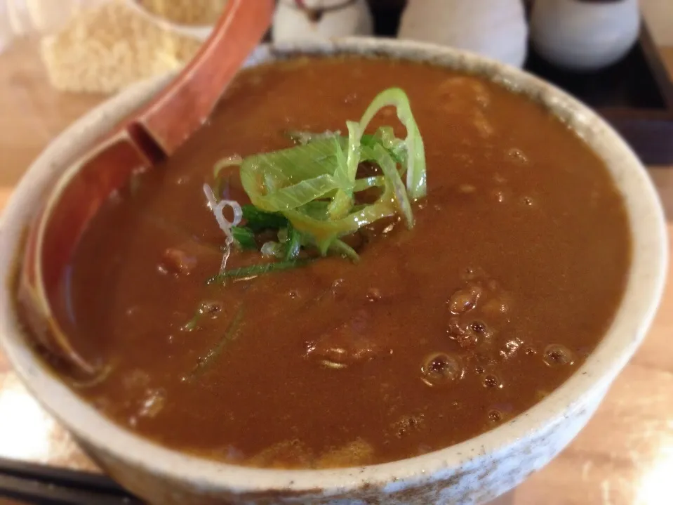 Snapdishの料理写真:牛すじカレーうどん|Yokkoさん