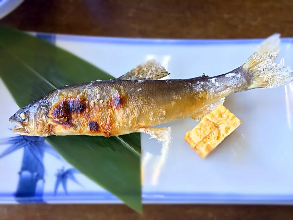 Grilled Aiyo Fish|Art Yuudhaさん