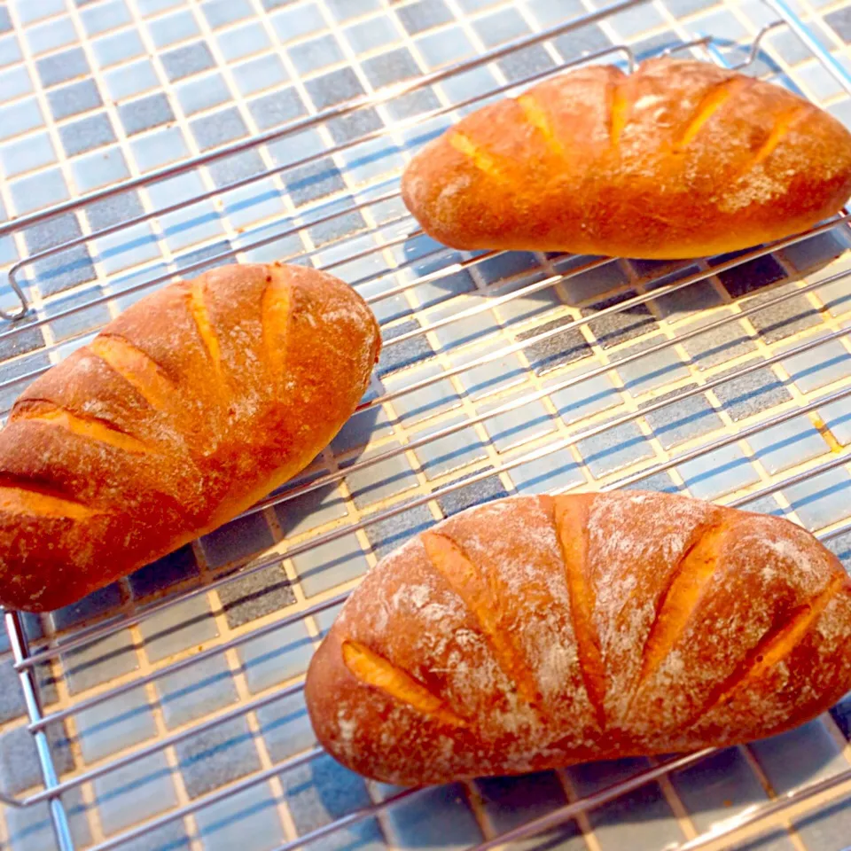 オリーブとベーコンinオリーブ＆ベーコン🍞|あるはさん