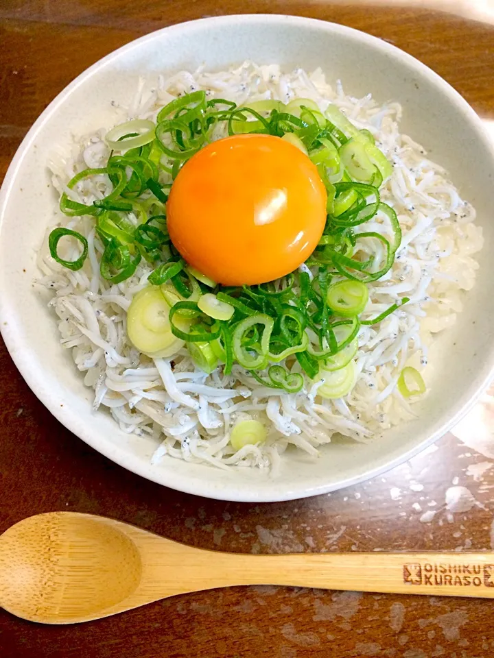 初めて食べるしらす丼⁉︎|ゆうちゃんさん