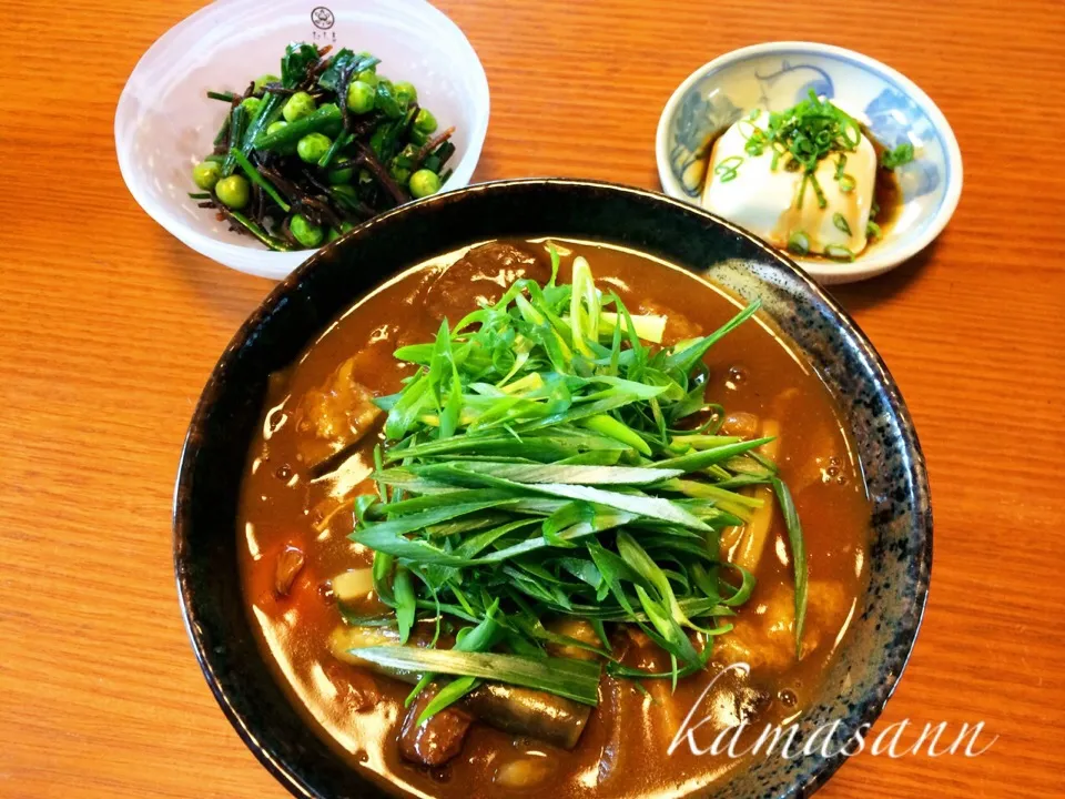 Snapdishの料理写真:namastelotus michakoさんの料理 Marinade salad of scallion and marine-plants“Hijiki”/ニラと芽ひじきのマリネサラダ  と、カレー2日目のカレーうどん🍜|かまさん