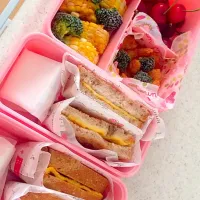 運動会のお弁当|Yoriko  Sakuradaさん