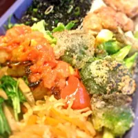 Snapdishの料理写真:弟弁当