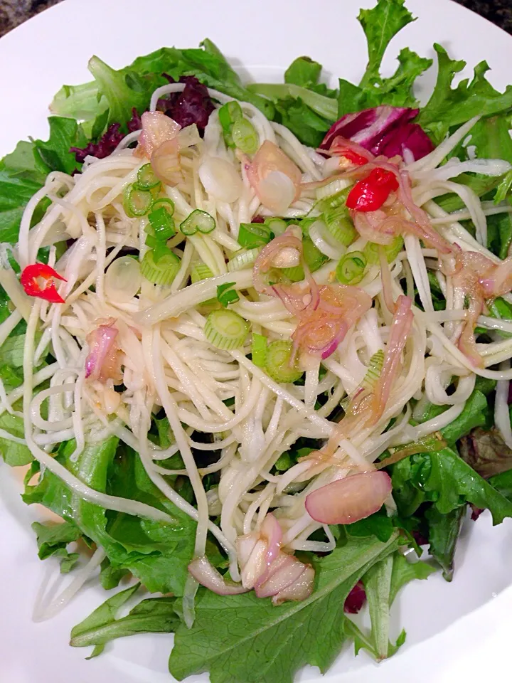 Mix green mango Salad|Allissa Zhaoさん