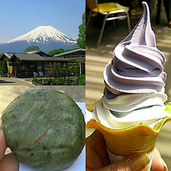 忍野八海に来ました…焼きよもぎ餅とラベンダー&忍野八海ソフト|maichyoさん