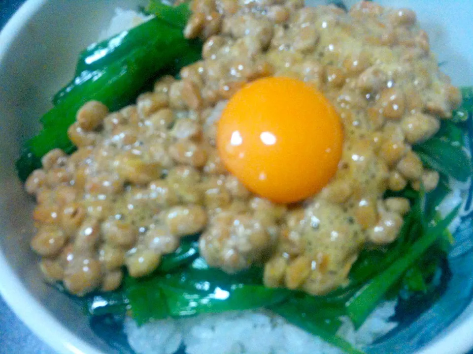 Snapdishの料理写真:ニラ玉納豆丼|gekoさん