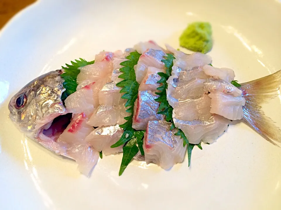 Snapdishの料理写真:えぼ鯛の造り🐟|おかっぴーさん