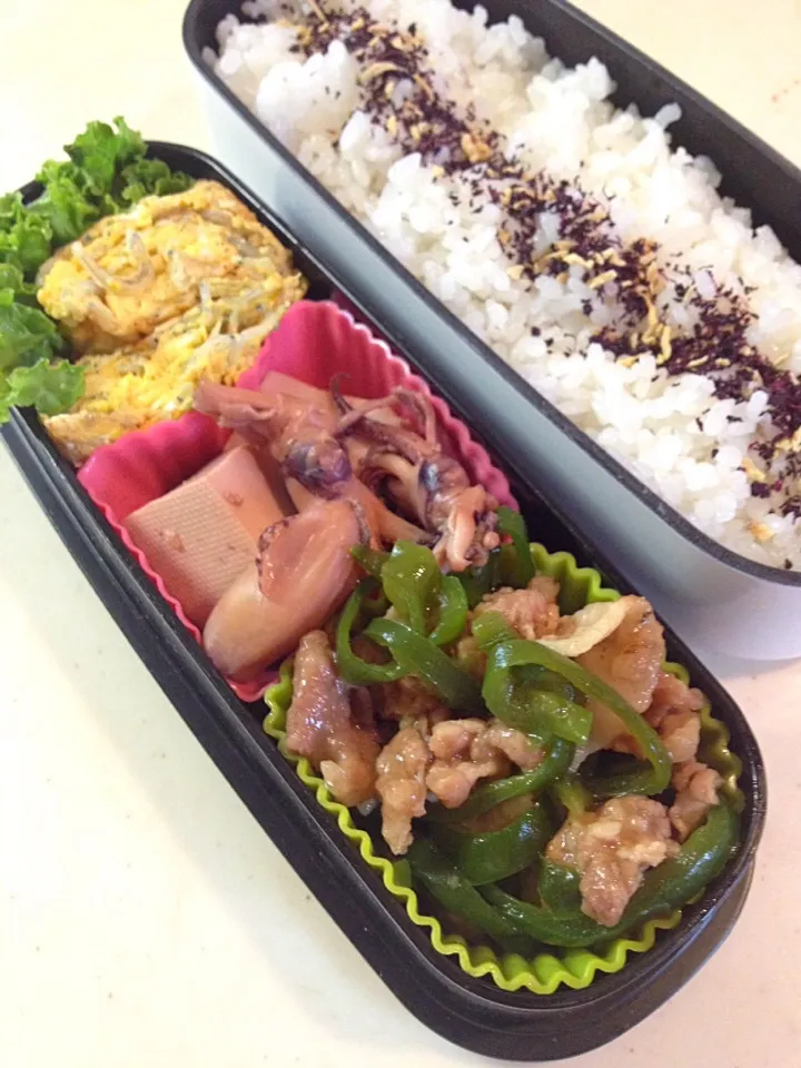 Snapdishの料理写真:ちんじゃおろーす弁当。5/26|mameさん