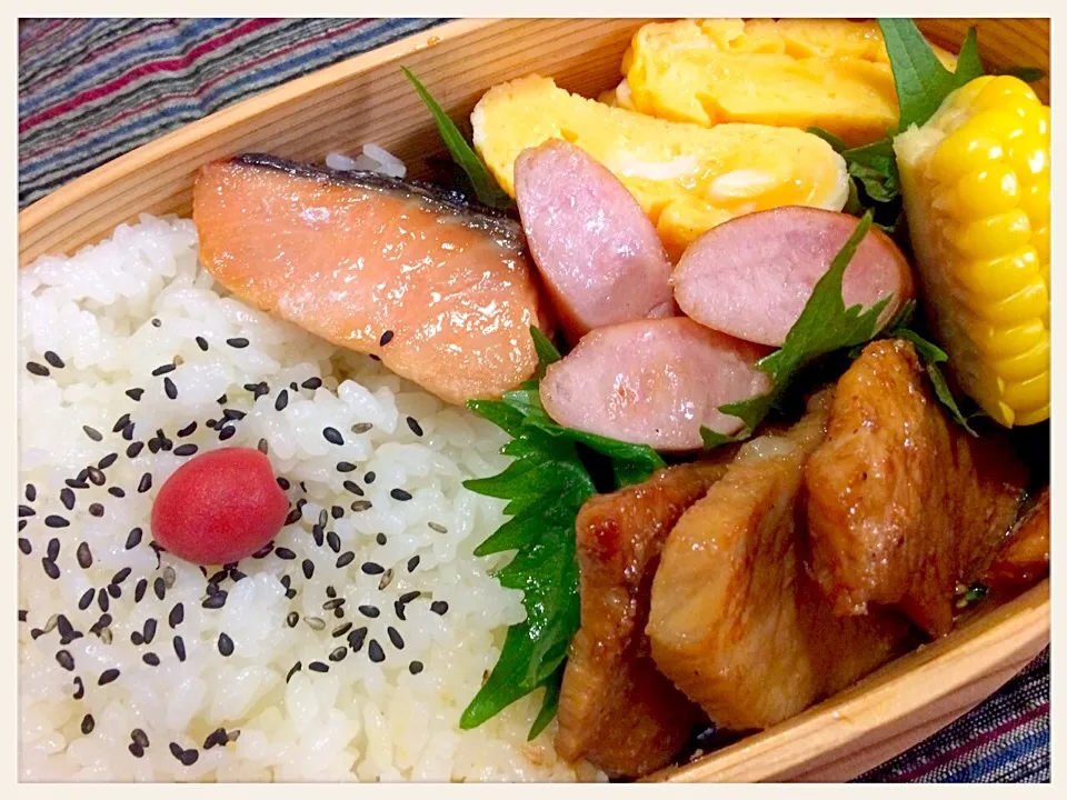 Snapdishの料理写真:幕の内お弁当♪|Noricoさん