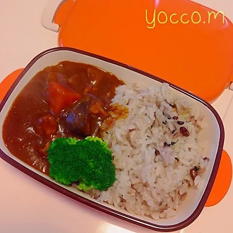 カレー弁当☆0527|よっこさん