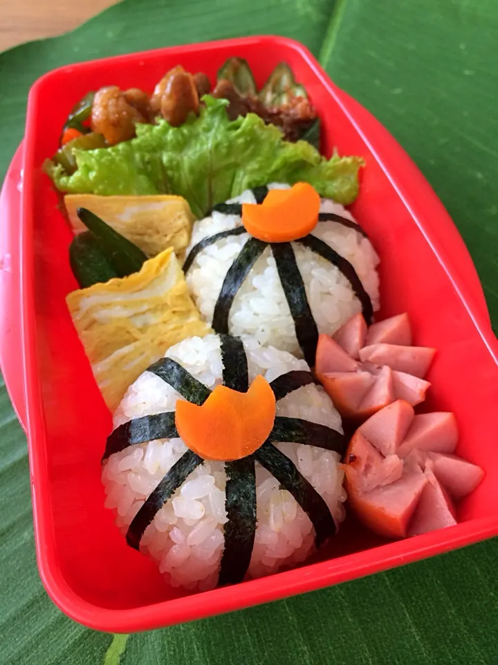 チューリップのおにぎり弁当|manacocoさん