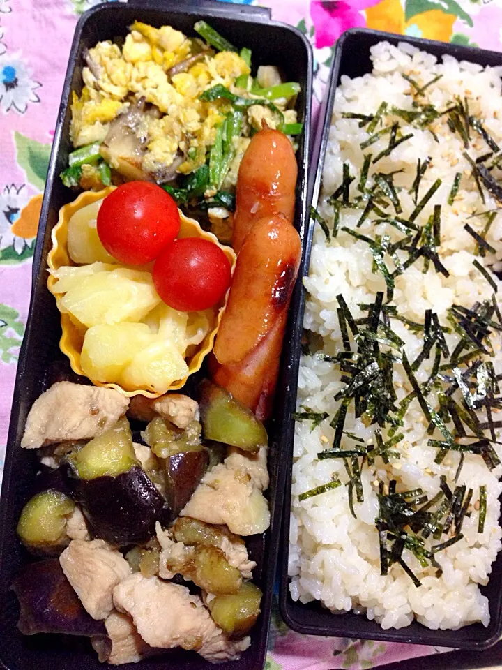 Snapdishの料理写真:成人男子茄子鶏煮弁当|ゆかりすさん