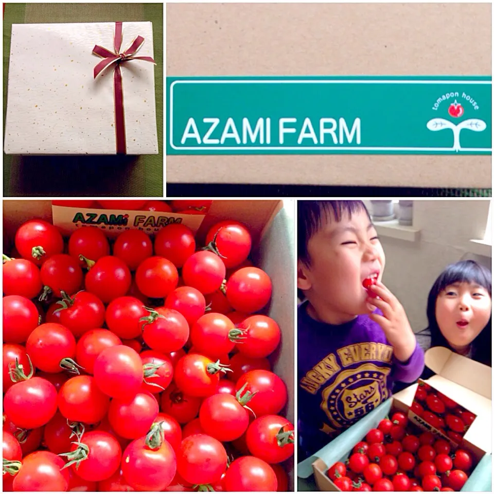 AZAMI FARM's tomatoes🍅From Ory san😍おりぃさんありがとうございます✨|🌈Ami🍻さん