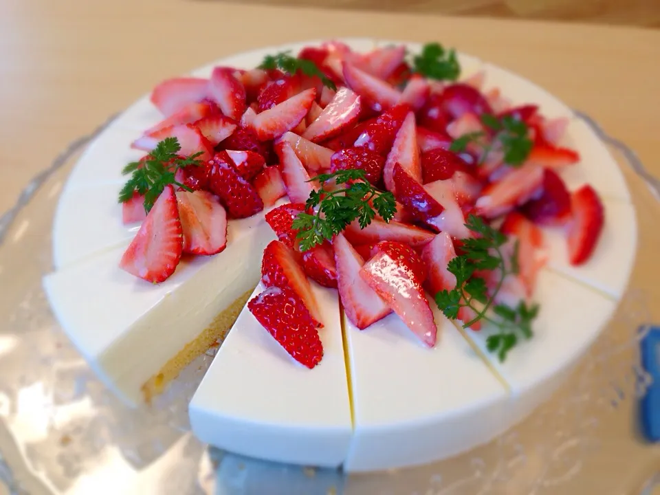 Yogurt cake|cheesyさん