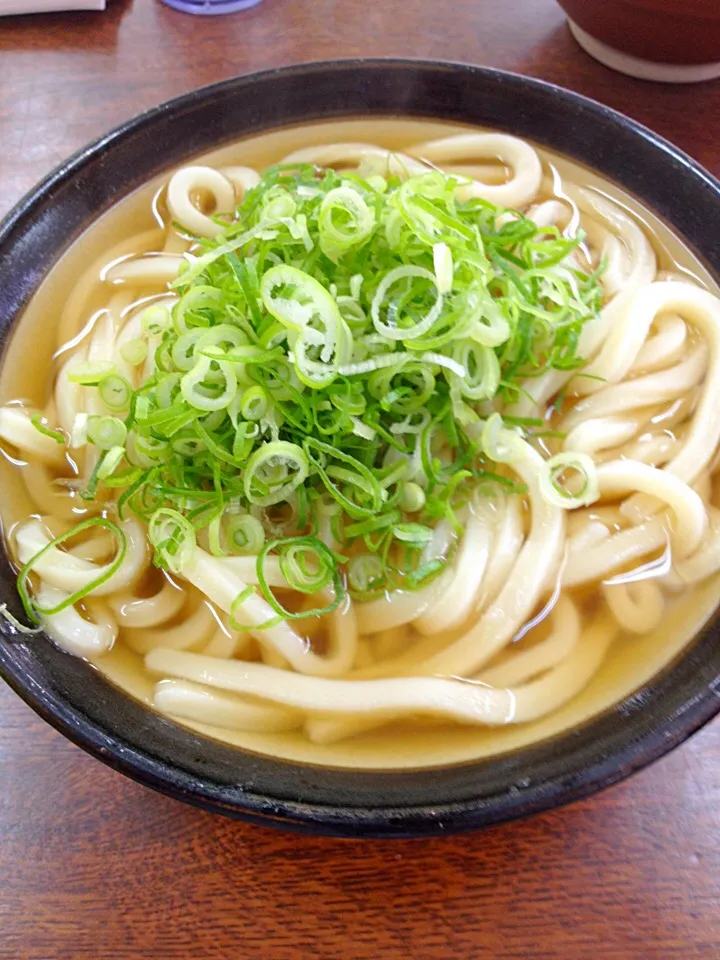 牧のうどん本店へ行ってみた〜|カフェアジアンさん