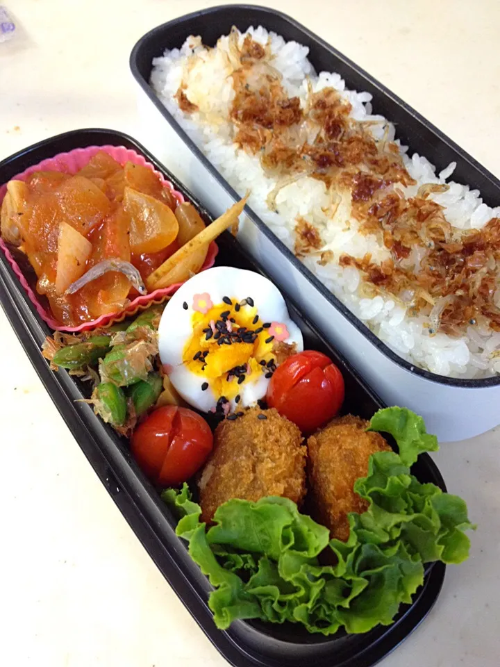 Snapdishの料理写真:チキントマト煮弁当。5/28|mameさん