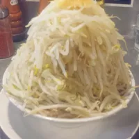 Snapdishの料理写真:ラーメン大の野菜増し増し、ニンニク入り、味濃いめ♪|高倉功さん