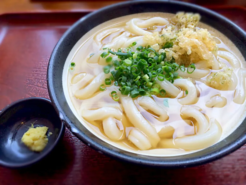 かけうどん|おかっぴーさん