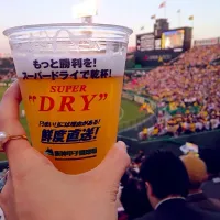 甲子園で🍺❤️