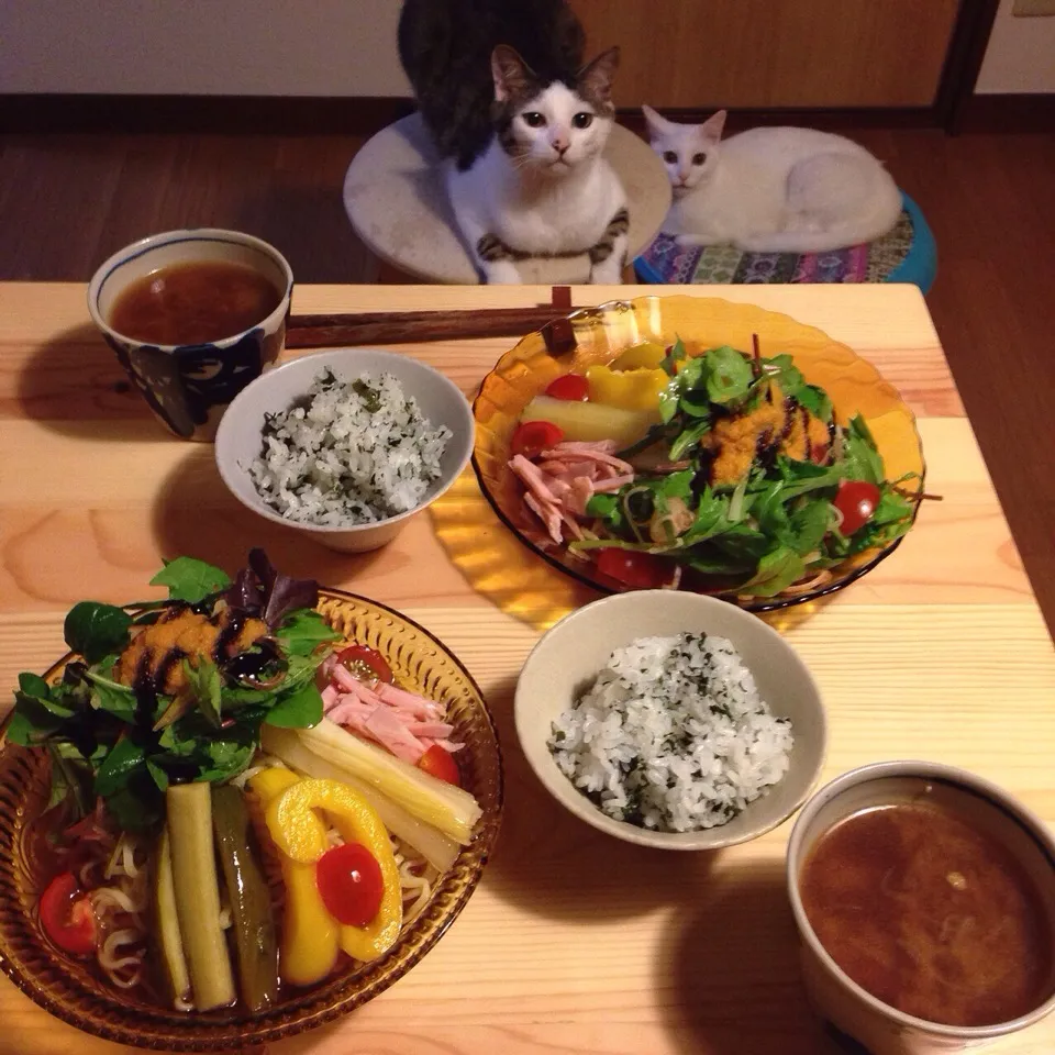 冷やし中華サラダのピクルス添え。ワカメご飯。|naouさん