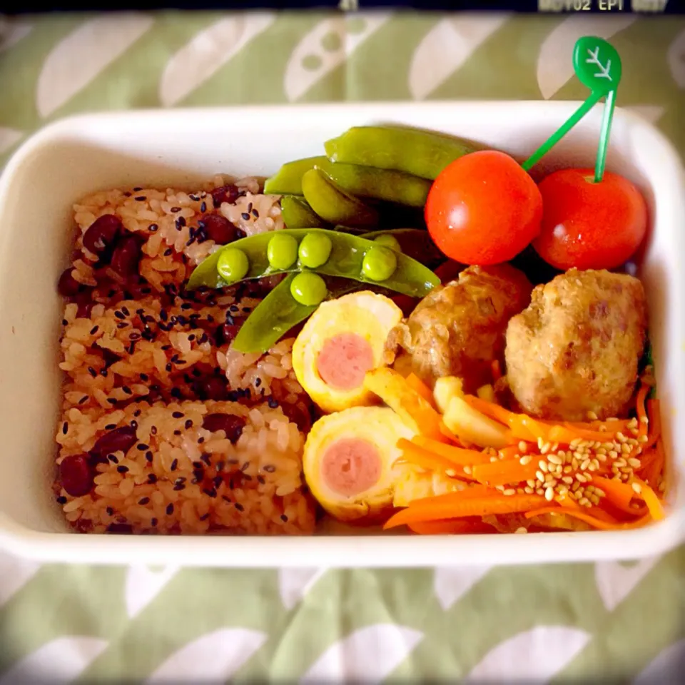 今日のお弁当☆|パピヨン☆さん