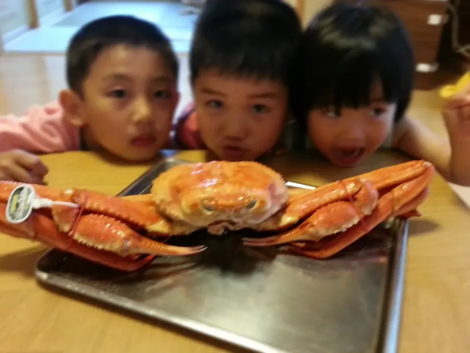 香住のかにもらったどーー＼(^o^)／

私は出産後、甲殻類アレルギーに…(*_*)

一人悲しく家族の為～～～
かゆいの我慢しながら身をほじるとします(--;)|Miwaさん