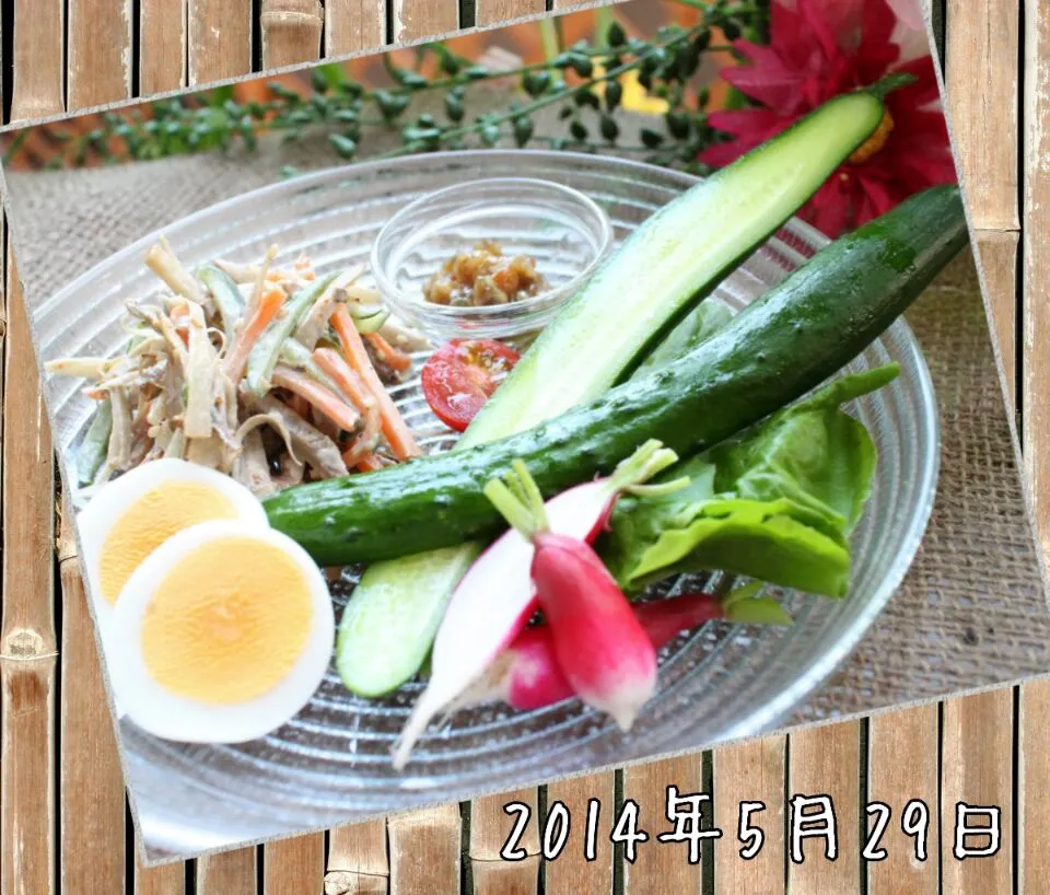 ベランダ菜園の採れたれｷｭｳﾘとﾗﾃﾞｨｯｼｭでﾜﾝﾌﾟﾚｰﾄ晩ご飯   ｺﾞﾎﾞｳｻﾗﾀﾞはﾙｸｴでﾁ～ﾝで楽ﾁﾝ...♪*ﾟ|くるみンさん