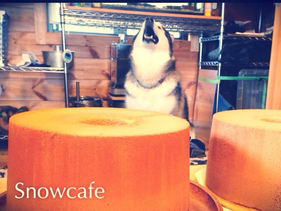 シフォンケーキ|Snowcafeさん