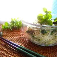 Snapdishの料理写真:爽やかミントとナンプラー素麺♪