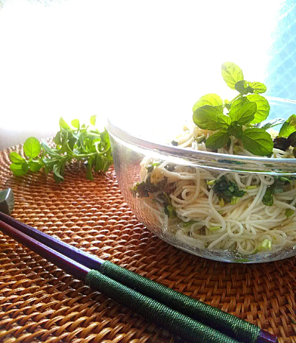 爽やかミントとナンプラー素麺♪|ゆず( ˘ ³˘)♥さん