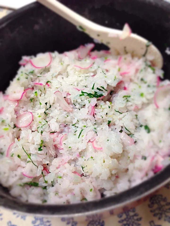 二十日大根の菜飯|Masako Uchidaさん