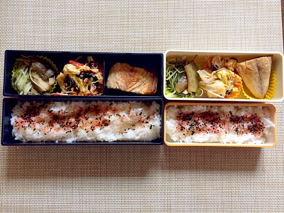 Snapdishの料理写真:本日のお弁当|satchさん