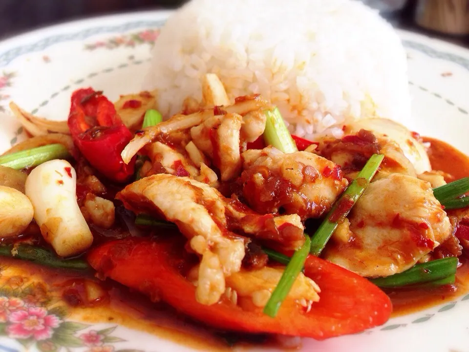 Thai Spicy Chicken with Rice|AomzFondue Khunさん