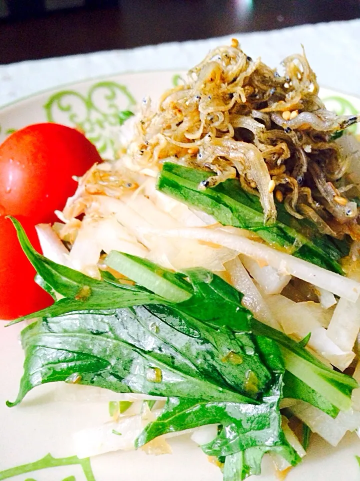 しらすと水菜と大根のサラダ|ぽこさん