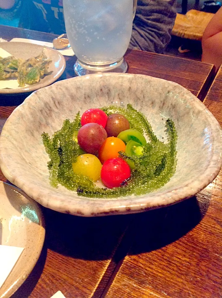 |Masayuki  Shimizuさん