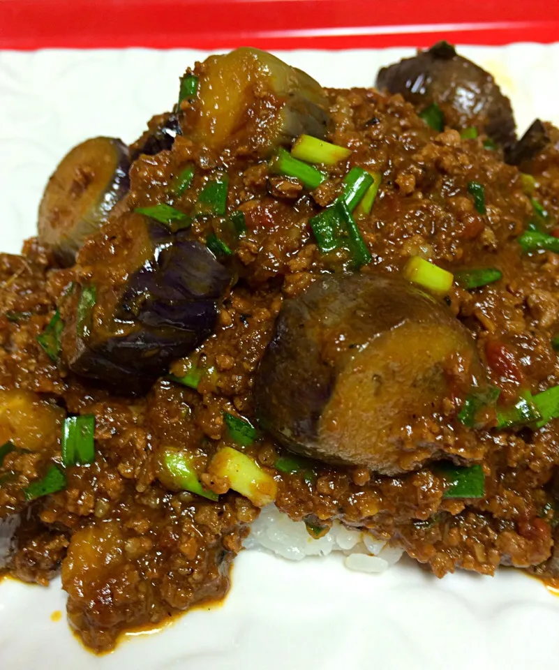 スパイスから作る茄子と牛挽肉のブラックカレー|ぐうたら主婦から脱出したいさん