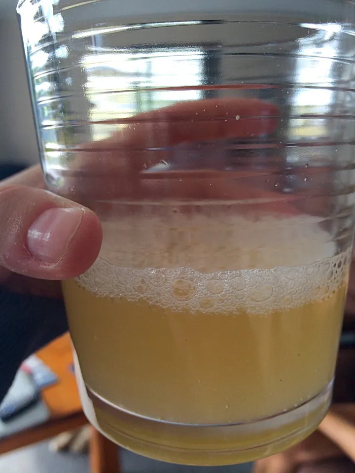 Homemade ginger beer|rebekah thompsonさん